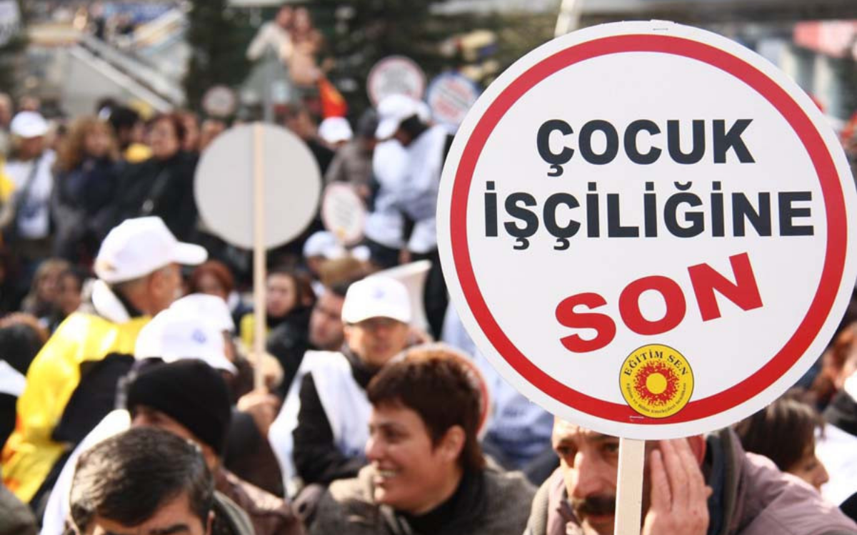 Ağrı nın Aşkale köyünde tarım işçiliği yapan ailesiyle birlikte ayçiçeği