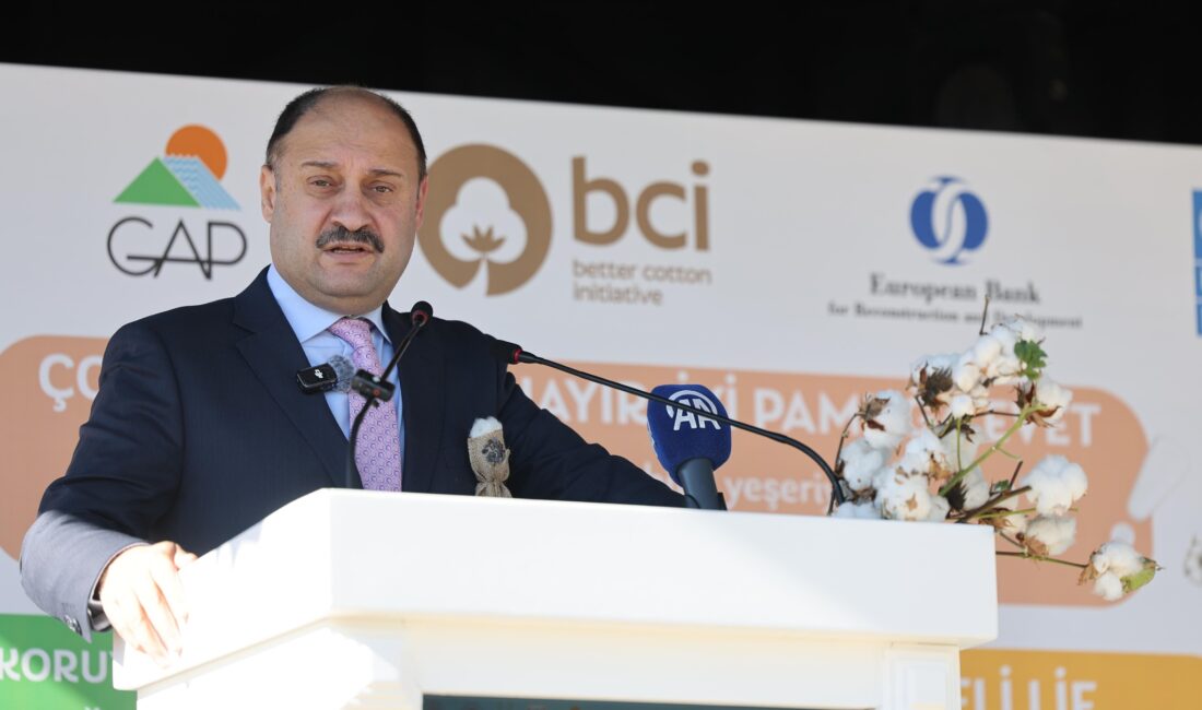 Şanlıurfa’da düzenlenen 3. İyi Pamuk Tarla Günü Etkinliği’nde konuşan Şanlıurfa