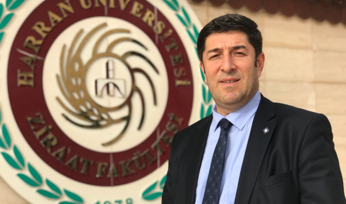 Şanlıurfa, Türkiye’nin en büyük fıstık üretim merkezlerinden biri olmasına rağmen,